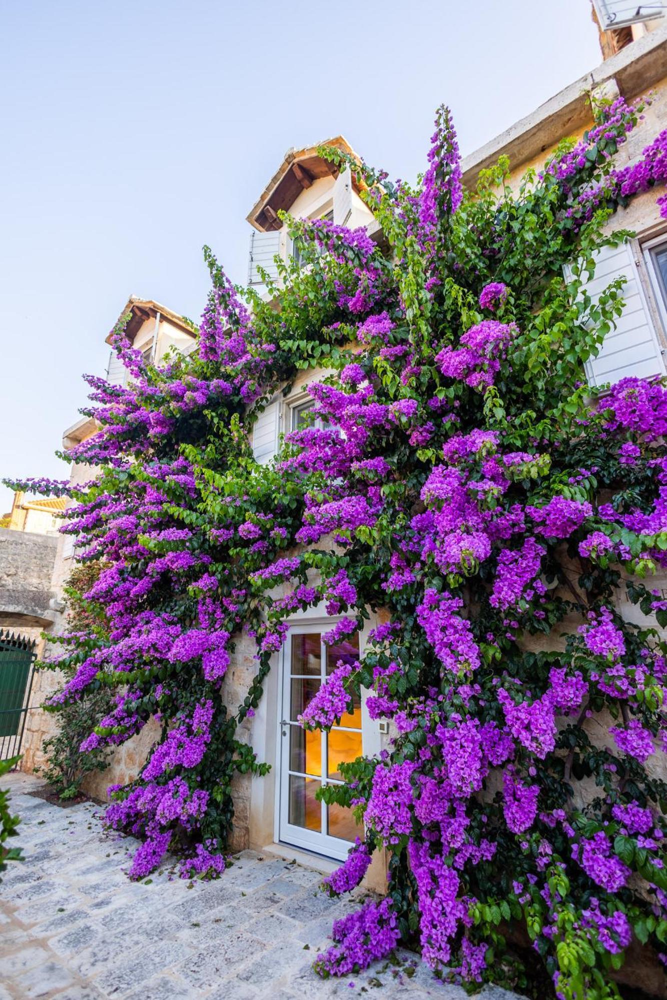Hotel Lemongarden - Adults Only Sutivan Exterior photo