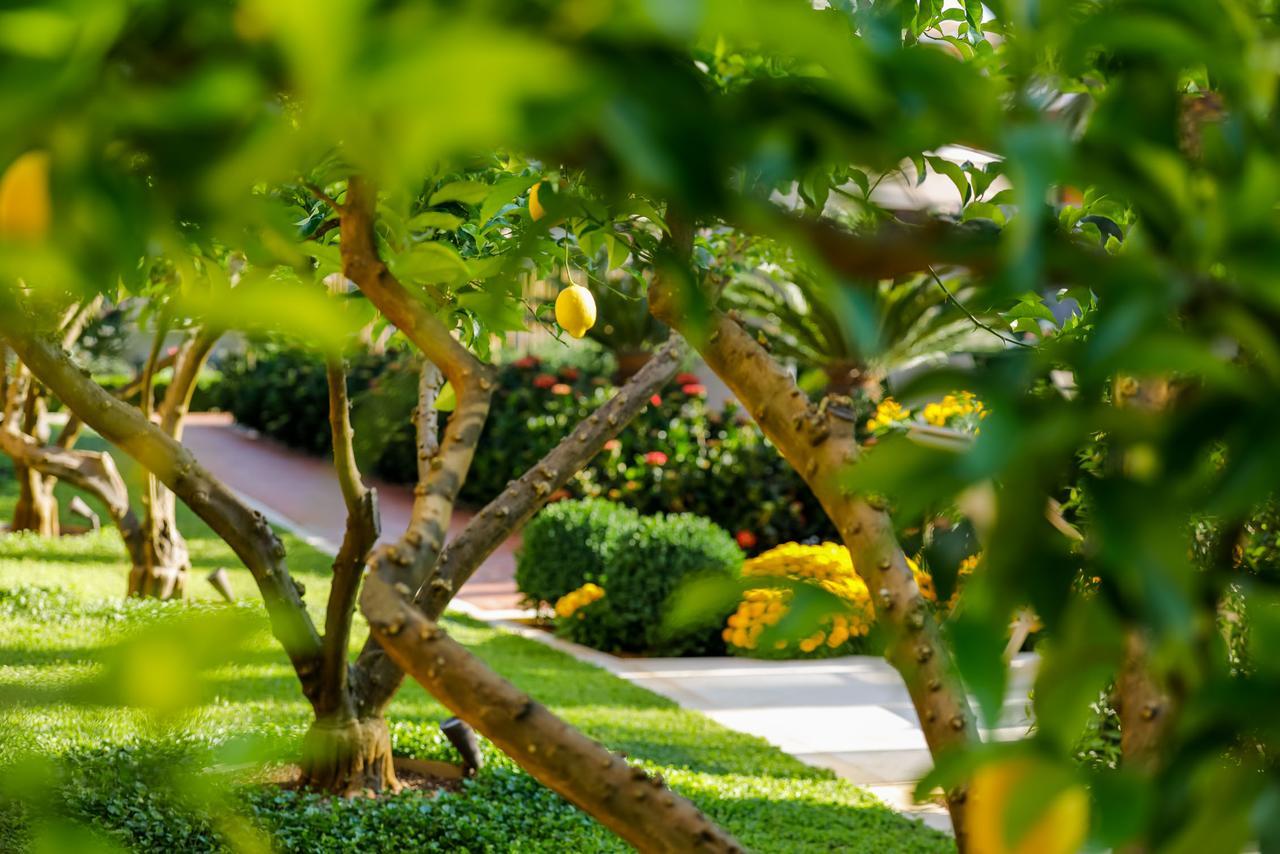 Hotel Lemongarden - Adults Only Sutivan Exterior photo