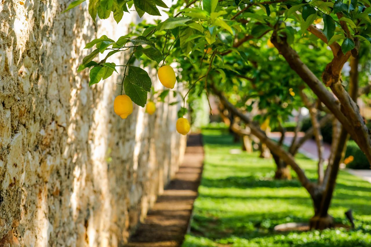 Hotel Lemongarden - Adults Only Sutivan Exterior photo